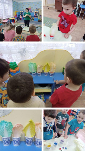 Дети экспериментировали с капустой.